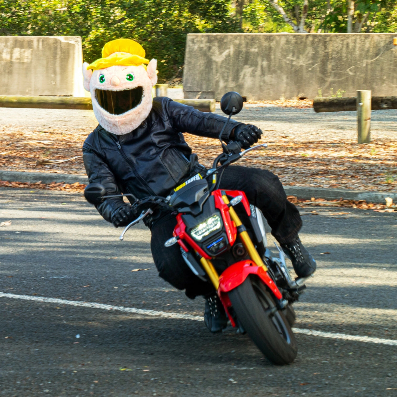bowser motorcycle helmet Moto Loot Helmet Cover for Motorcycle Helmet, Fun Rides and Gifts (Cover Only. Helmet Not Included)