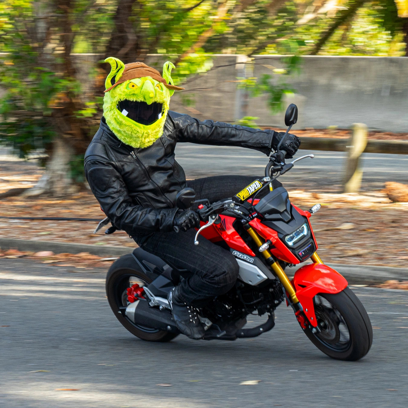 goblin motorcycle helmet Motorcycle Helmet Cover