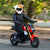 Motorcycle Helmet Cover - Cow