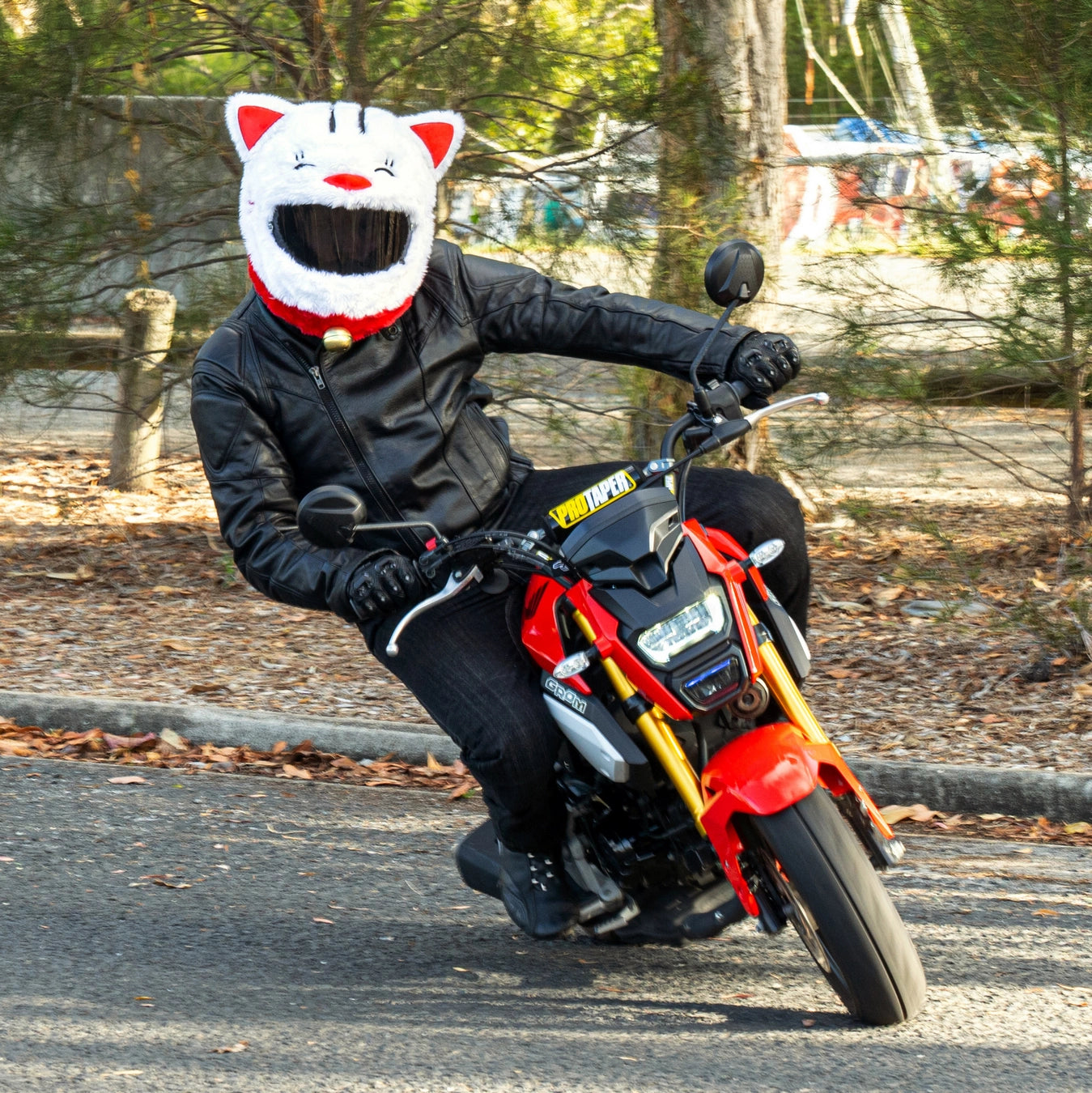 cat motorcycle helmet covers Motorcycle Helmet Cover
