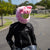 Motorcycle Helmet Cover - Pig