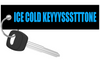Pure Function - Ice Cole Keyyyssstttone Keychain