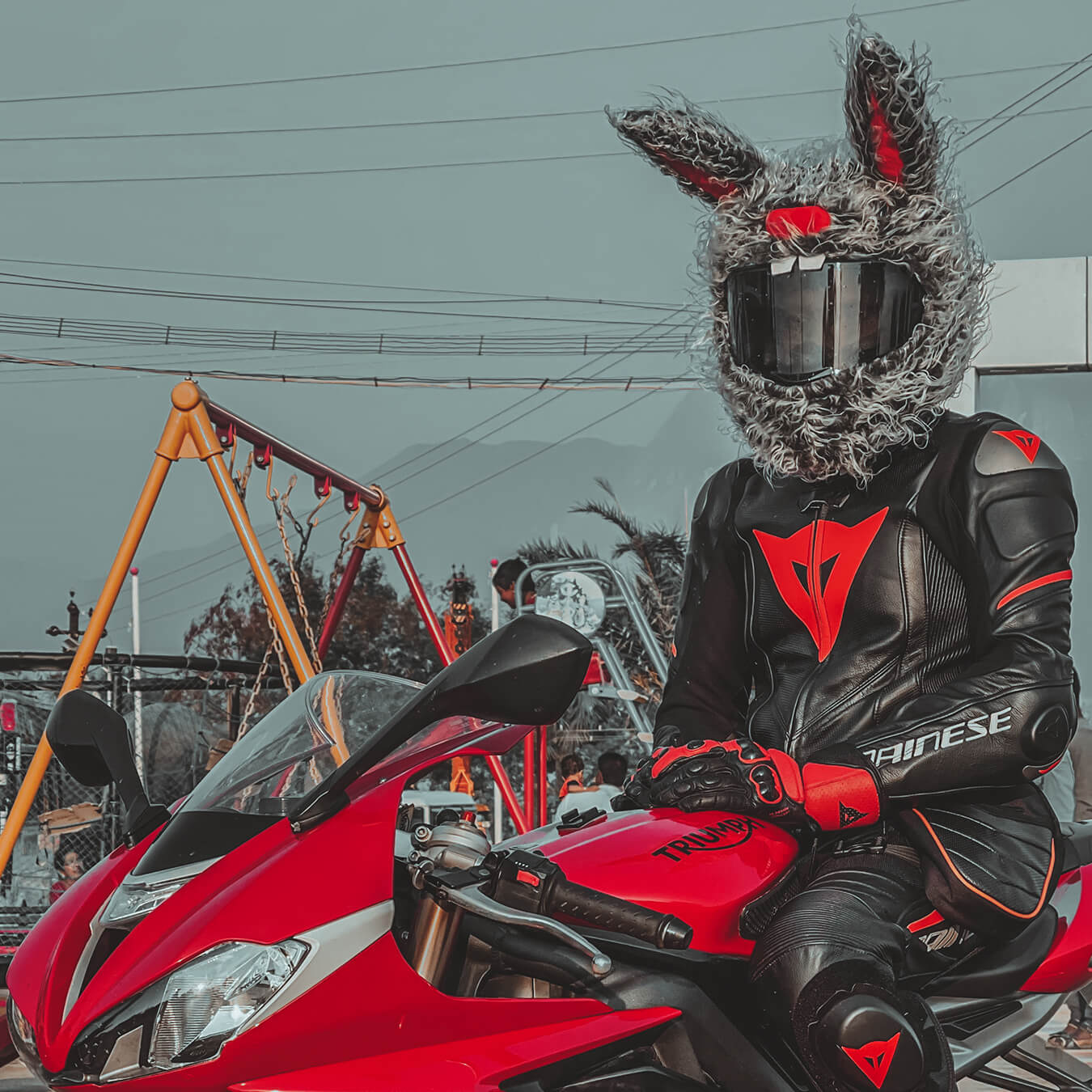 bunny ears motorcycle helmet Motorcycle Helmet Cover